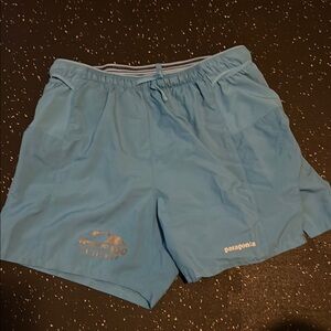 Patagonia Men's Blue Vermont 100 Shorts